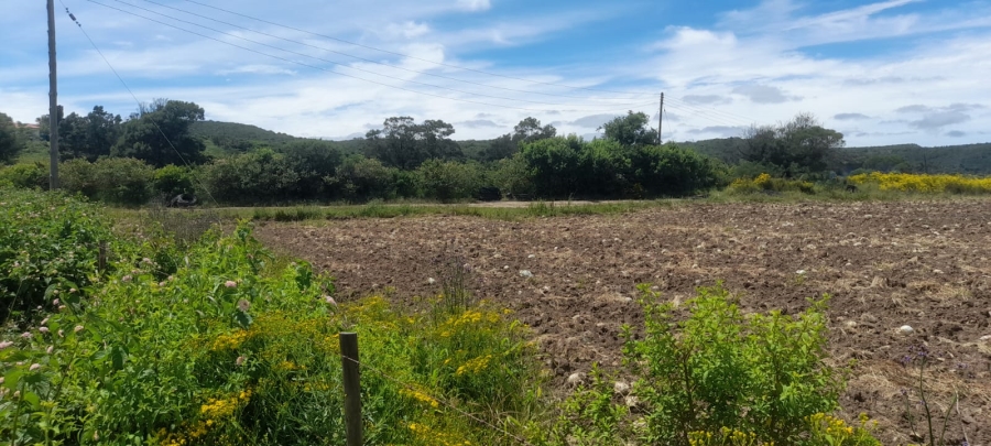 Commercial Property for Sale in Komga Rural Eastern Cape